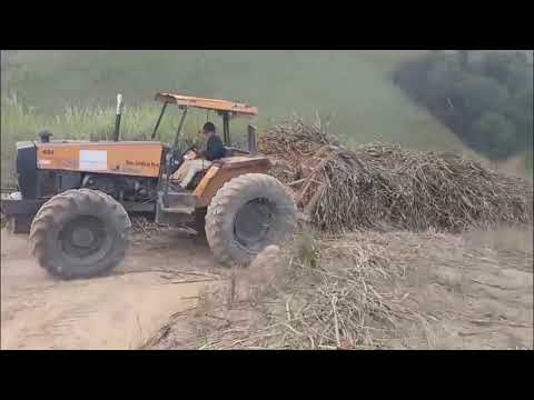Carregamento de cana Fornecedor Junior Porfirio Araçoiaba-pe 