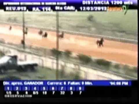 Resumen Lunes, 12 de Marzo de 2012 - Rancho Alegre