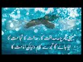 Allama Iqbal Poetry Motivational Shaery Sdaqat Shujat Nigah E Mard Momin Kahani Ki Duniya