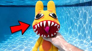 I Found a Giant Anomaly in My Pool! Animal Hospital! I Found a Giant Anomaly in My Pool! Animal Hospital!