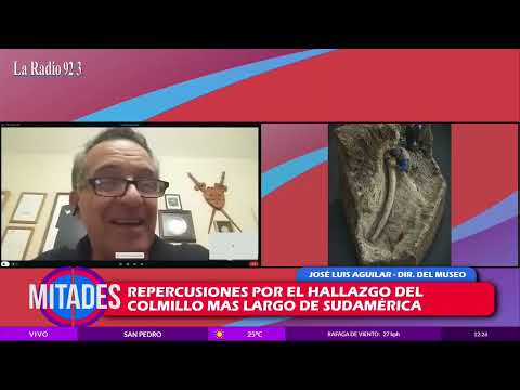 Repercusiones por el hallazgo del colmillo fusil mas grande de Sudamérica