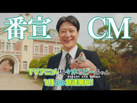 佐々木とピーちゃん Video3