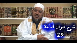 صورة شرح ديوان النابغة الذبياني // 29 // الشيخ محمد محمود الشنقيطي