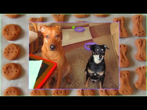 download lagu mp3 mp4 Liver Dog Biscuit Recipe Uk, download lagu Liver Dog Biscuit Recipe Uk gratis, unduh video klip Liver Dog Biscuit Recipe Uk