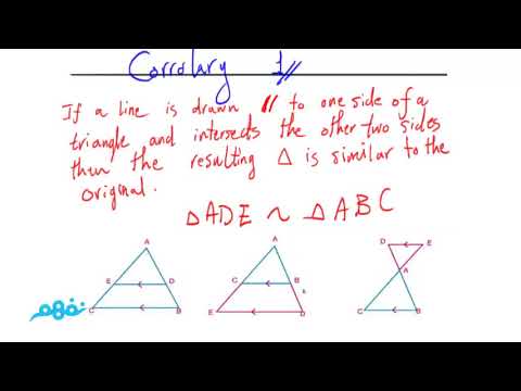 Similarity of Triangles - الرياضيات لغات - الصف الأول الثانوي- الترم الأول -  المنهج المصري - نفهم