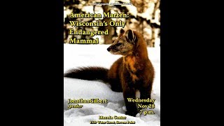American Marten: Wisconsin’s only endangered mammal  Speaker: Jon Gilbert
