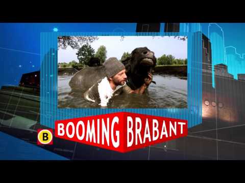 Promo Booming Brabant  uitzending 8 juni 2017