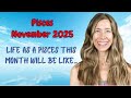 Pisces November Astrology LIFE AS A PISCES THIS MONTH WILL BE LIKE Horoscope