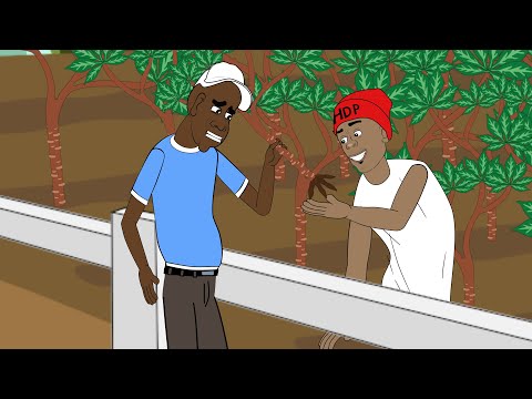 SEMBRANDO YUCA X SILVERIO ANIMATION
