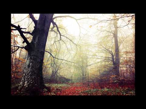 Mishary Rashid Alafasy - Et-Tin