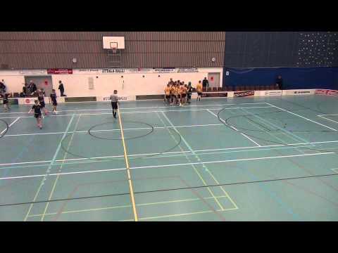 11 4 2015 D1 ALH Happee vs Ilves maalikooste