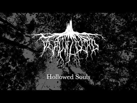 Verwilderd - Hollowed Souls (Official Video)