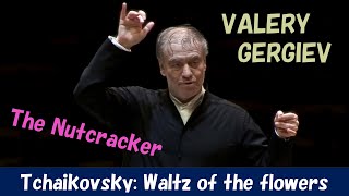 Download lagu [Gergiev] チャイコフスキー／「くるみ割り人形」～花のワルツ　Tchaikovsky: 'The Nutcracker' Waltz of the flowers mp3
