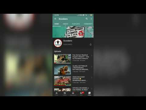 #Scoobers#kundan world                                       Free adoption German shepherd available