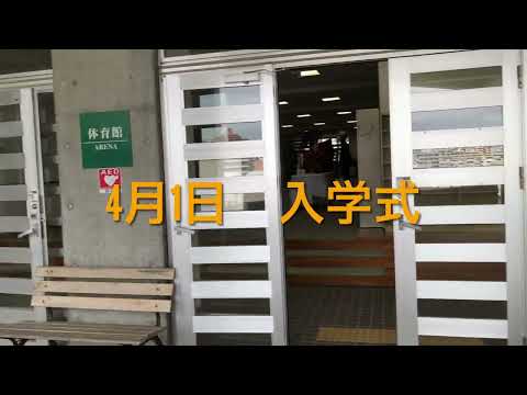福祉文化学科 2022年度　沖縄大学入学式をチラ見