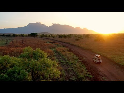 Explore Pian Upe Wildlife Reserve | Uganda