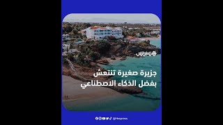 جزيرة تنتعش بفضل الذكاء الاصطناعي thumbnail