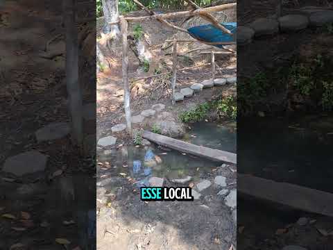 Fontao foi um antigo poço, de um antigo engenho na cidade de Bacabeira MA.#engenho#history #maranhão