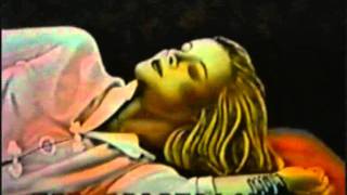 THE WILD SWANS now you're perfect (1982)