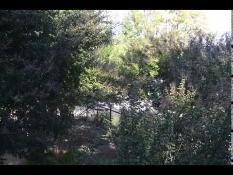 78 days, 78 Pictures