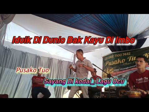 IDUIK DI DUNIO BAK KAYU DI IMBO ( SAYANG DI KODAI ) LAGU OCU VOC : FITRA ABDI