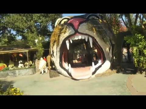 National Ayub Park Rawalpindi | Outing With Family | Entertainment Video | @Cooking &  Entertainment