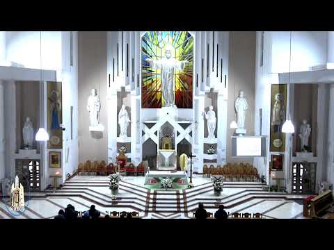 LIVE - Biserica Romano-Catolică  Sfinţii Petru si Paul  Bacau