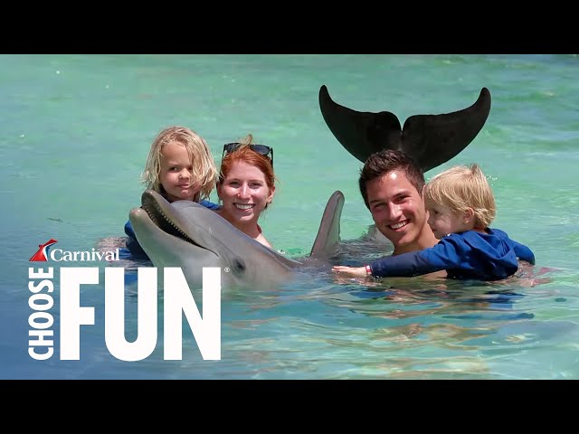 Dolphin Swim & Snorkel in Mahogany Bay, Isla Roatan | Carnival Shore Excursions