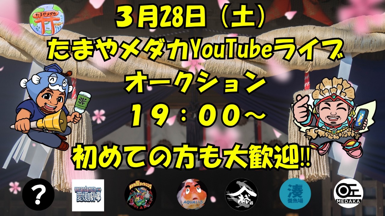 ３月２８日（土）ライブオークション
