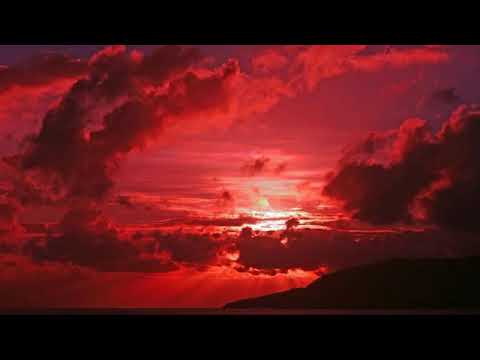 Andrey Pitkin & Alexander Gecko --  Flying Emotion