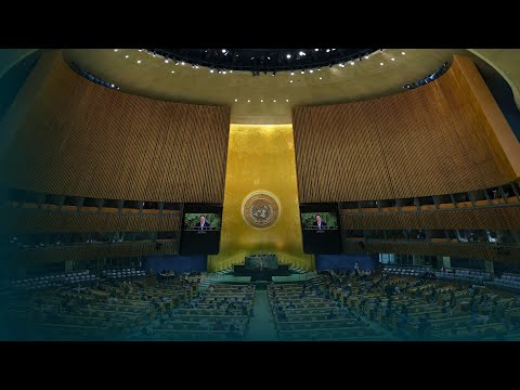 Video Thumbnail: Stunde der Diplomatie – Wie umgehen mit Autokraten? | #unterdenlinden