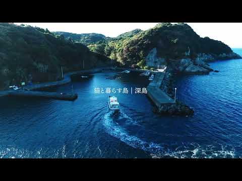 【大分県佐伯市】深呼吸ができる島「深島」