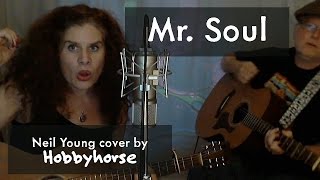 Mr Soul - Neil Young [acoustic cover by Hobbyhorse]