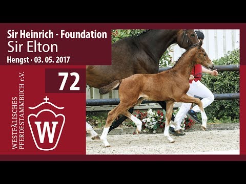 72 Sir Elton  Hengst v. Sir Heinrich - Foundation
