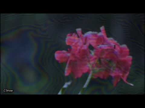 Warhol.ss X Famous Dex - On My Waist Instrumental [ Slowed + Reverb ]