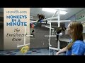 The Enrichment Room-Monkeys in a Minute