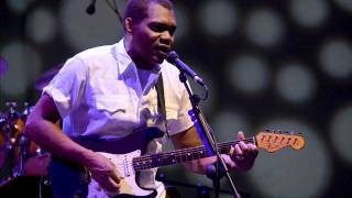 Labor Of Love   Robert Cray