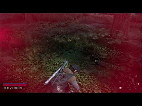 Days Gone Pc Gameplay  showcase