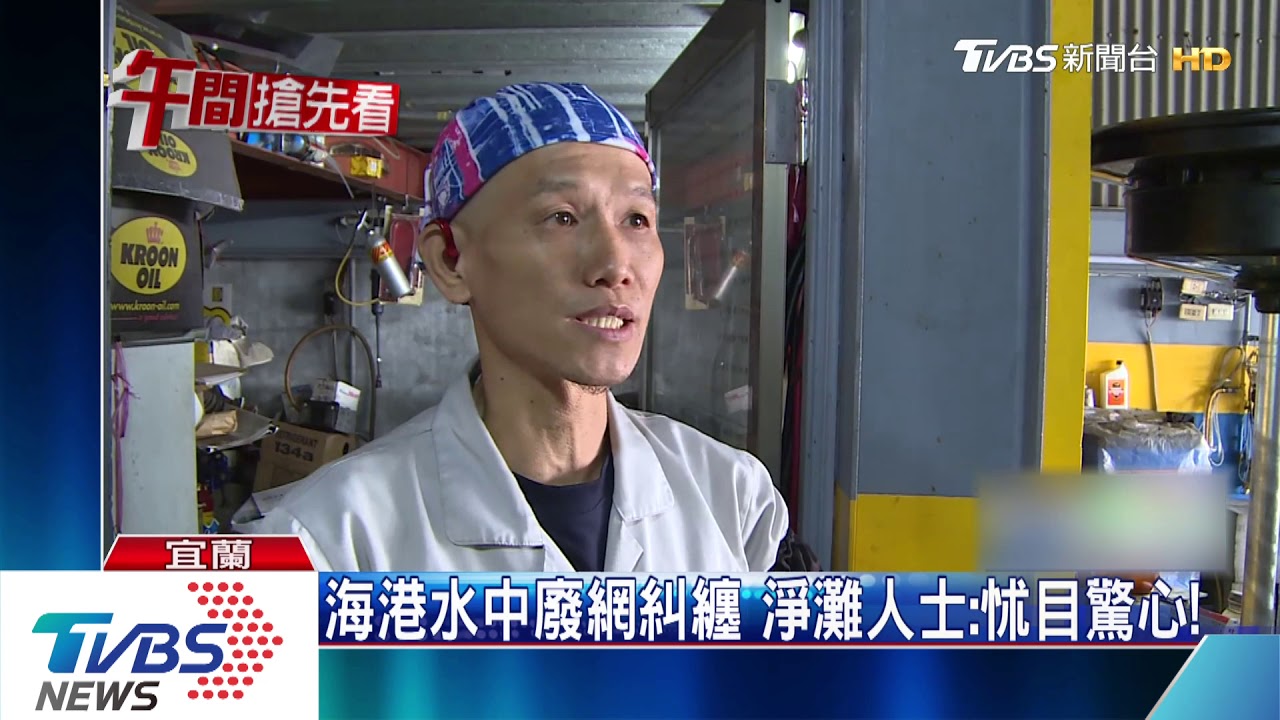 「小燕鷗」沙灘產卵 保育人士憂遭人踩車輾