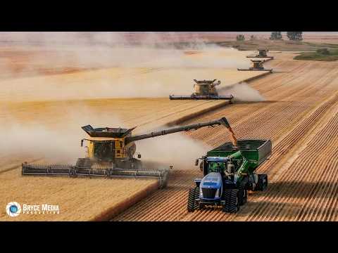 New Holland CR 8 Mähdrescher x7 + MacDon FD2 & 2x New Holland T9 Großtraktoren / Großeinsatz Ernte!