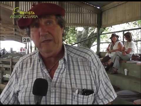 ROMNEY DE LOS CHARRUAS