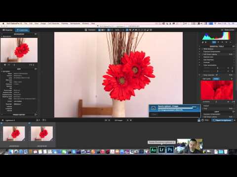 dxo optics pro 10 high iso review