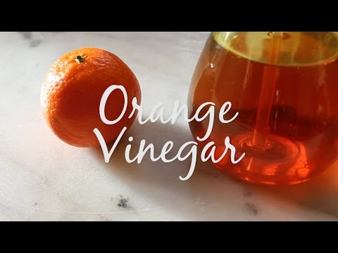 download lagu mp3 mp4 Orange Cider Vinegar, download lagu Orange Cider Vinegar gratis, unduh video klip Orange Cider Vinegar