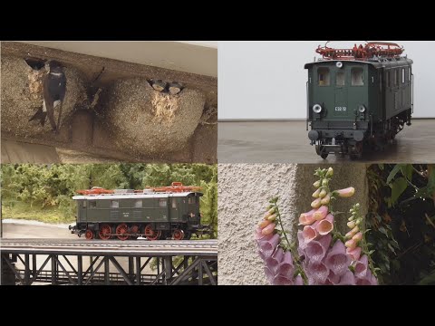 Auwiesen bunt - Piko Neuheit E 32 12