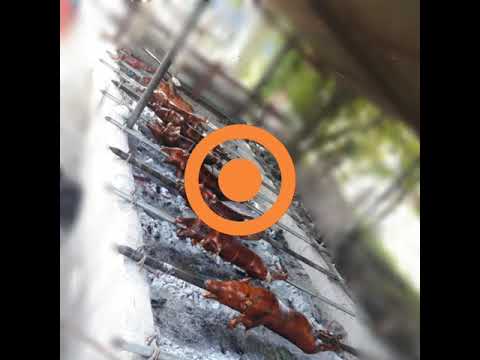 The Native "Wild Pig" Lechon by IkBest