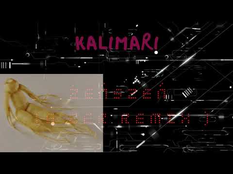 Kalimari - Żeńszeń ( 6zer remix)