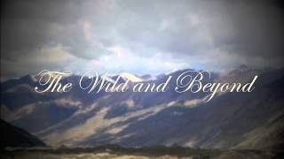 Aaron Tinjum and the Tangents - The Wild and Beyond - Single Teaser #1