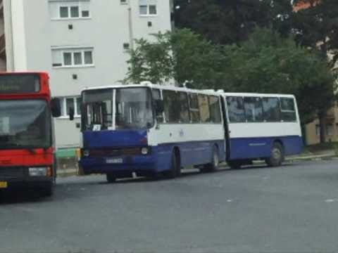 Veszprémi helyi járatok