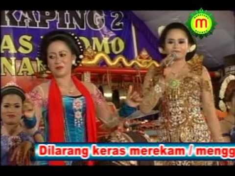 Rini Epeledut - Podhang Kuning (Official Music Video)