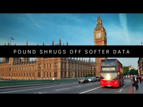 Pound shrugs off softer data
